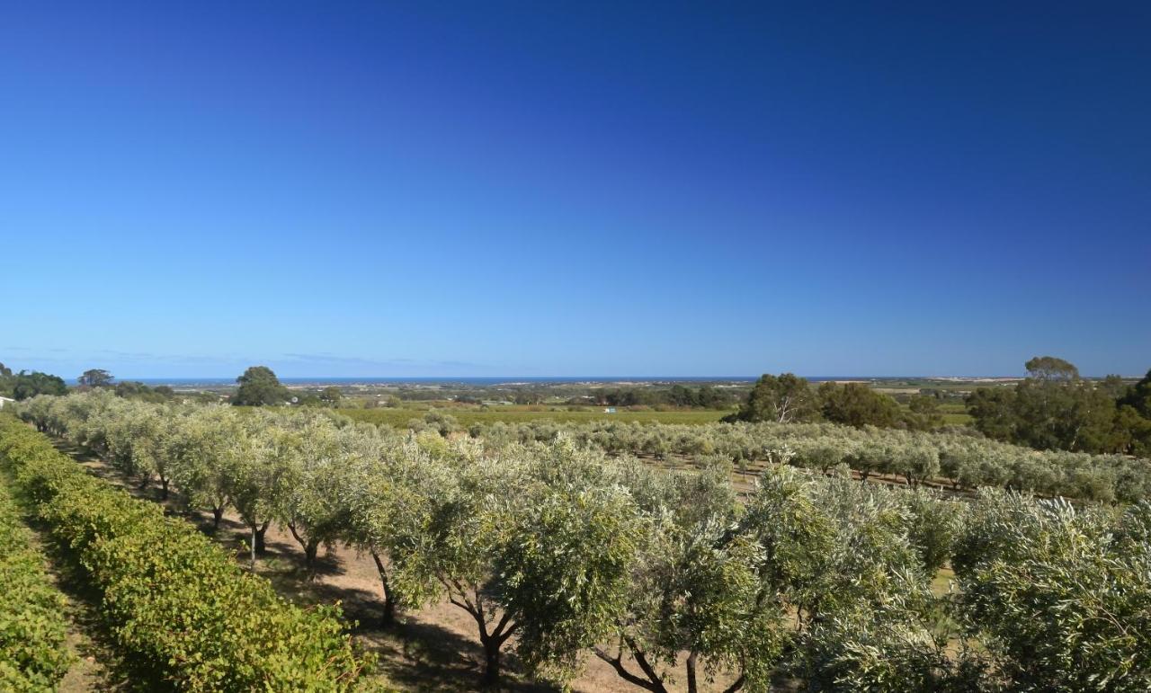 The Farm Willunga Bed and Breakfast Buitenkant foto