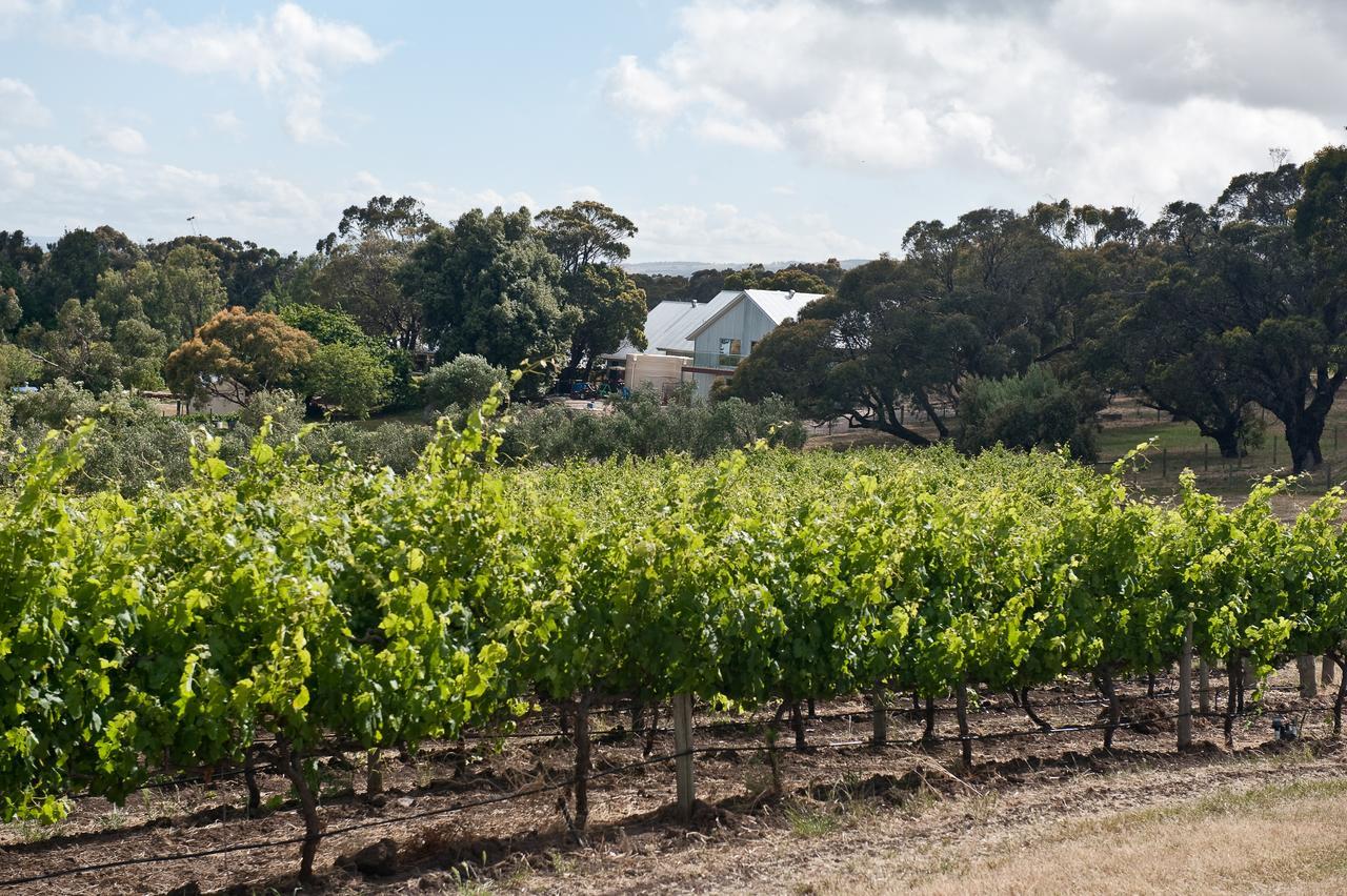 The Farm Willunga Bed and Breakfast Buitenkant foto