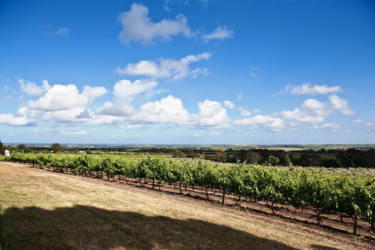 The Farm Willunga Bed and Breakfast Buitenkant foto